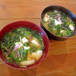 ＊赤水菜と豆腐の味噌汁＊